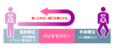 骨密度検査